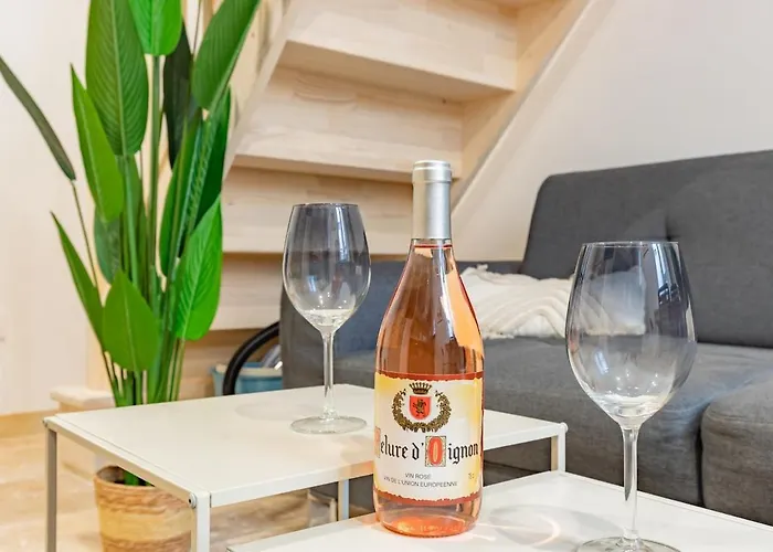 Apartman Le Vegetal Cite Wifi Machine A Laver 2 Personnes Carcassone